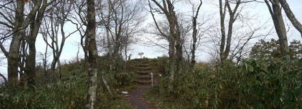 高賀山
